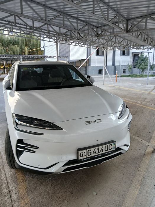 Byd chempion elektr 605