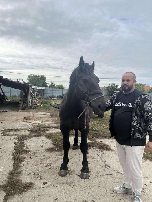Manji de 1an jumate de vanzare