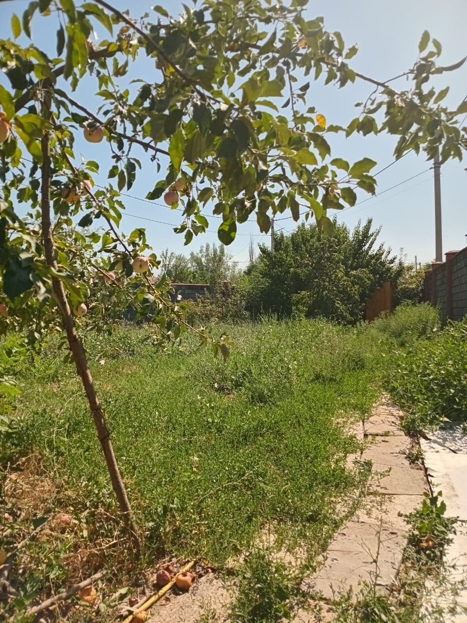 Продаются два жилых дома на одном земельном участке