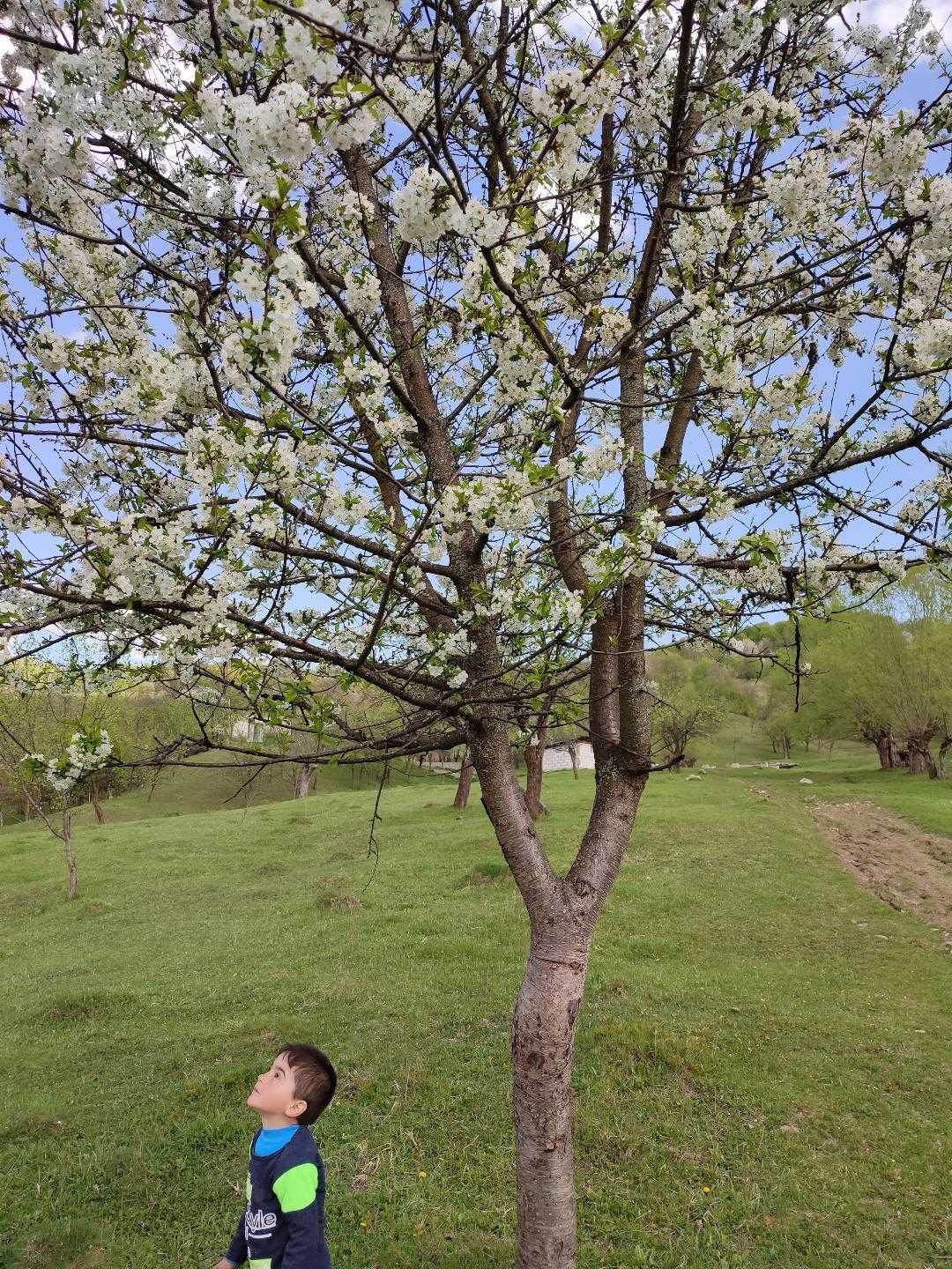 Teren intravilan,utilitati bransate,1,5 ha,Valenii de Munte,Drajna.