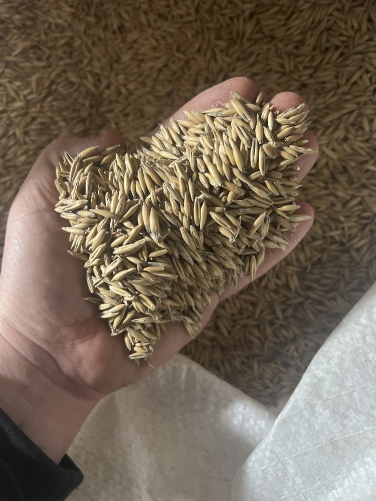 Продам корма для животных