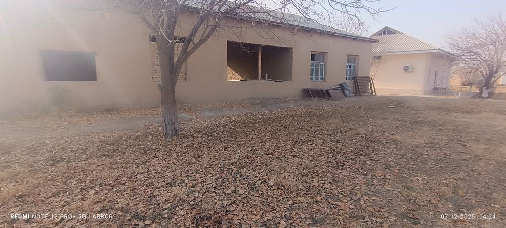 Navbaxor 29 sutiqlik xovli