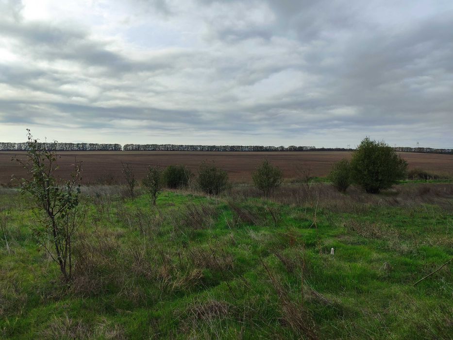 Голям парцел във Ведрина