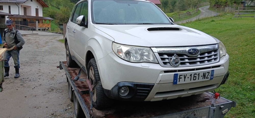 Subaru Forester ( suv)