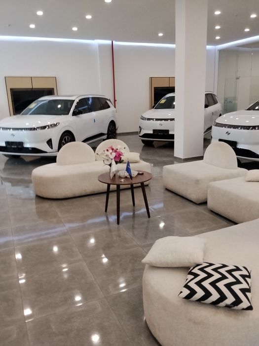 Dongfeng ep 008 Max