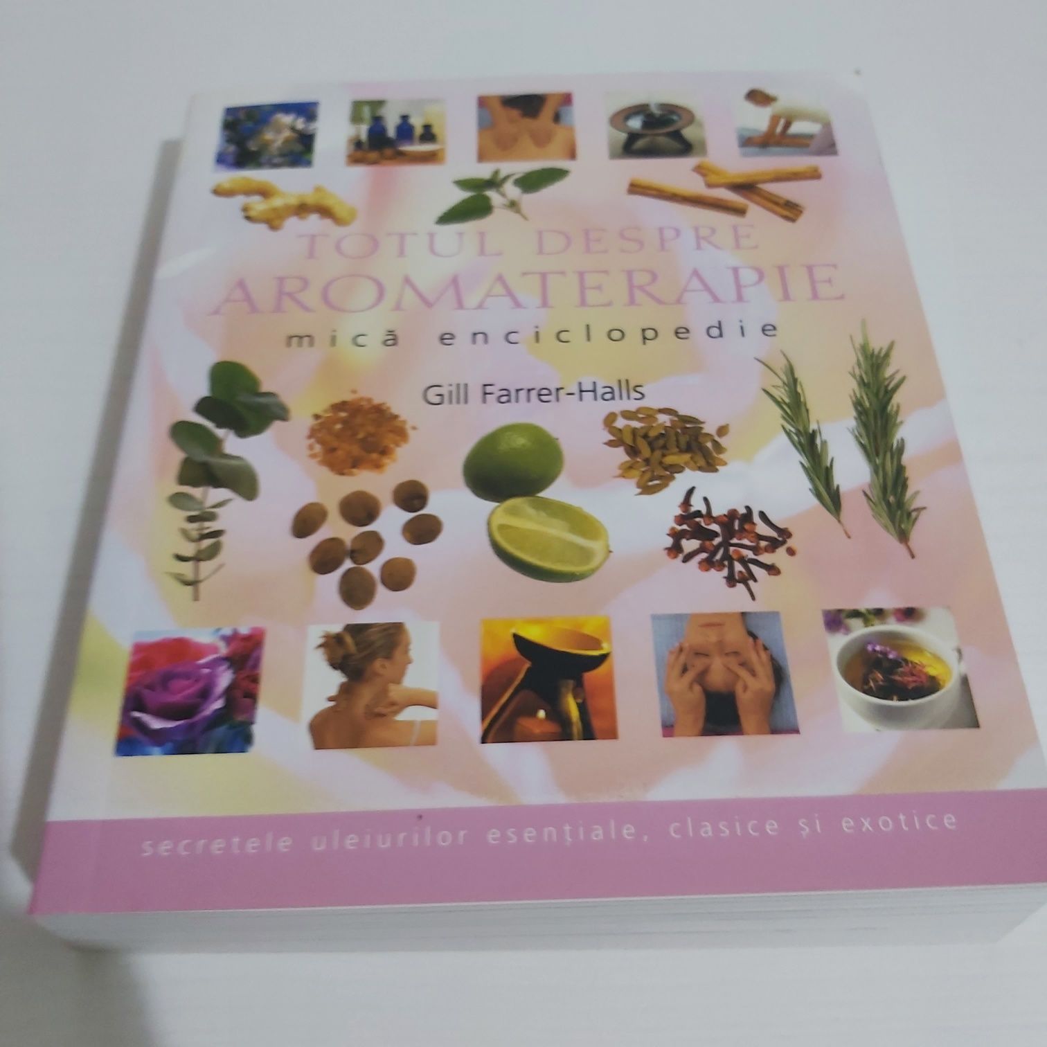 Totul despre aromaterapie - Carte enciclopedie