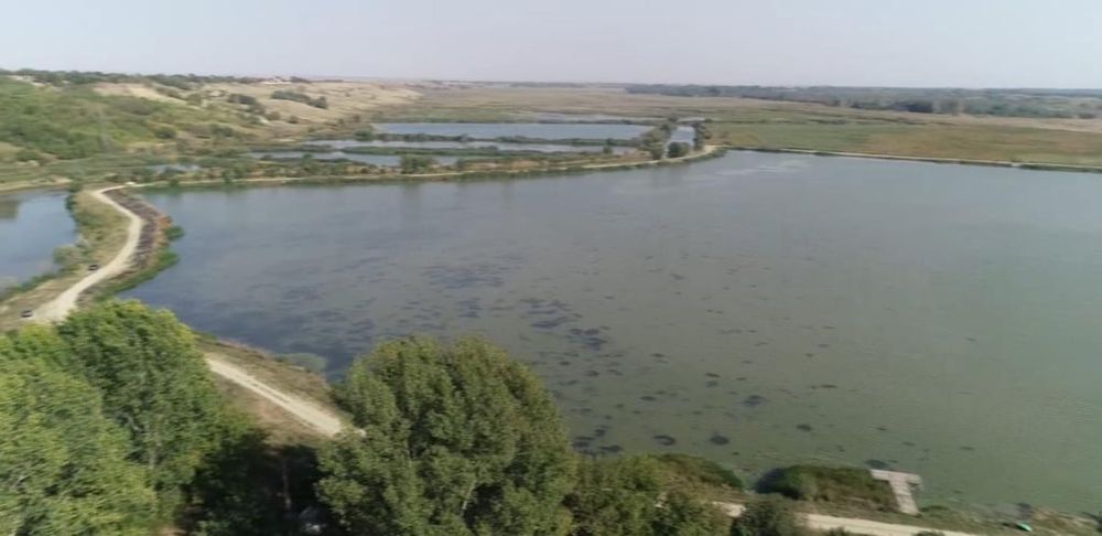 Vand ferma piscicola