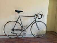 Cursiera Shimano 63cm