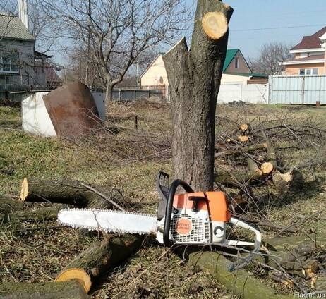 Спиливаем деревья сухостой