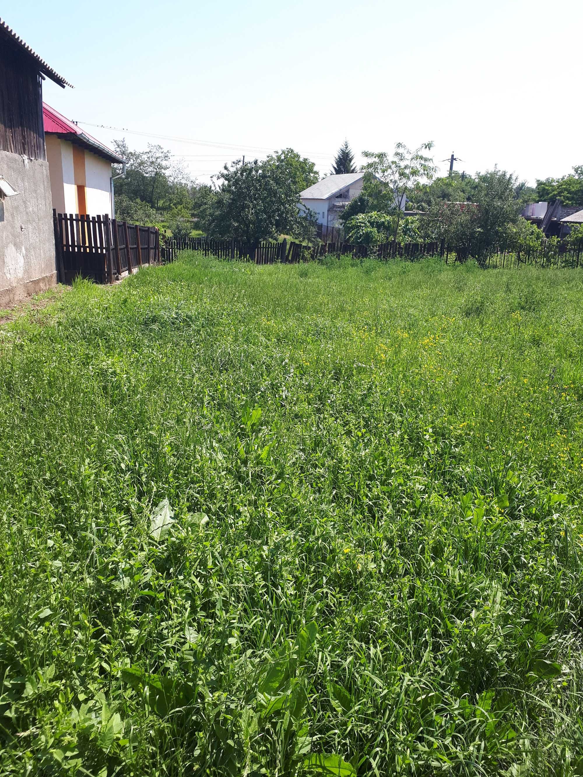 Teren intravilan, 2500 mp. în Com.Oarja./Argeș