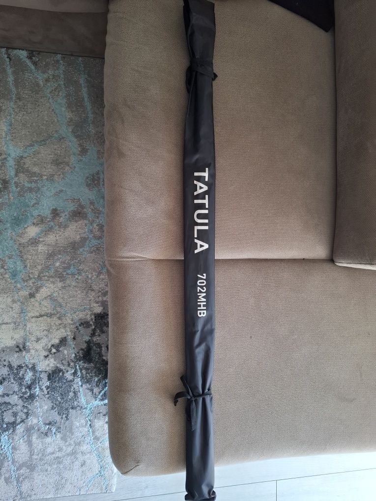 Lanseta casting  Daiwa