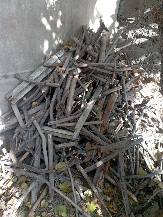 Утин сотилади. Мевали дарахтники.