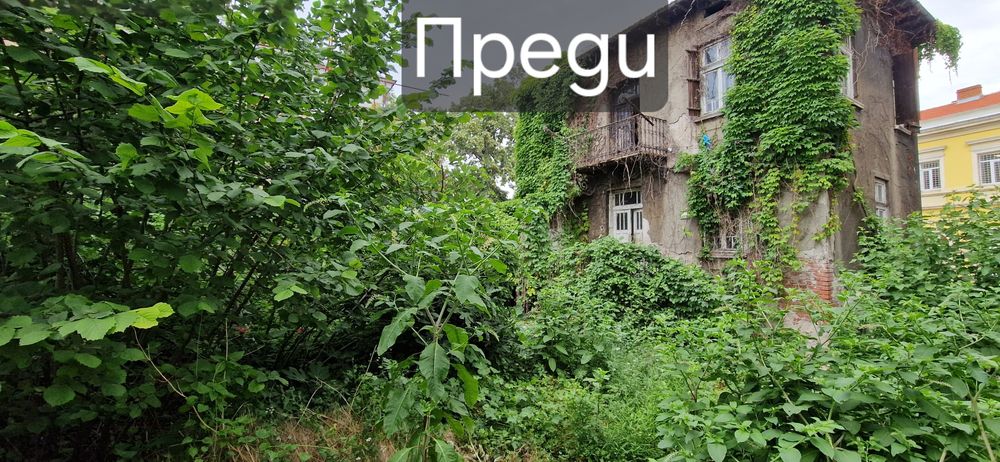 Косене на трева, почистване на силно обраснали места, коренене,рязане