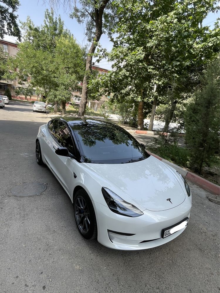 Tesla model 3 dual motrs long renge 2021