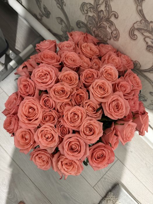 Продам розы свежие 51 штук