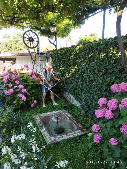 Почистване  и поддръжка на дворове!!!