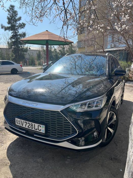 Byd song plus Gibrit 2 pazitsa