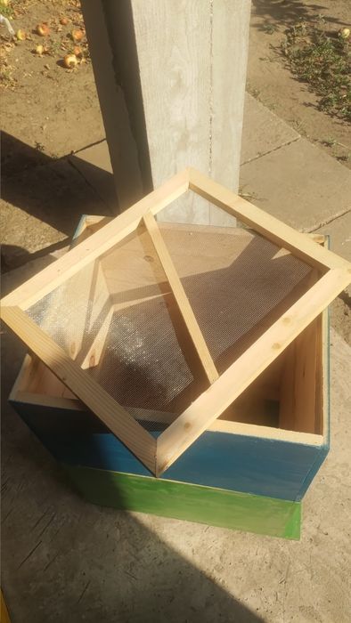 Vând cutii albine (stupi)