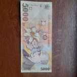 Bancnota 5000 lei din 1998
