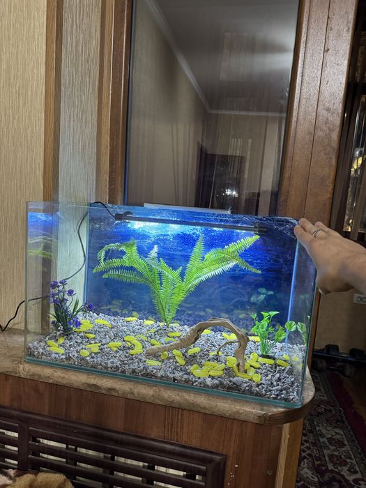 Аквариум 65 литров готовый комплект