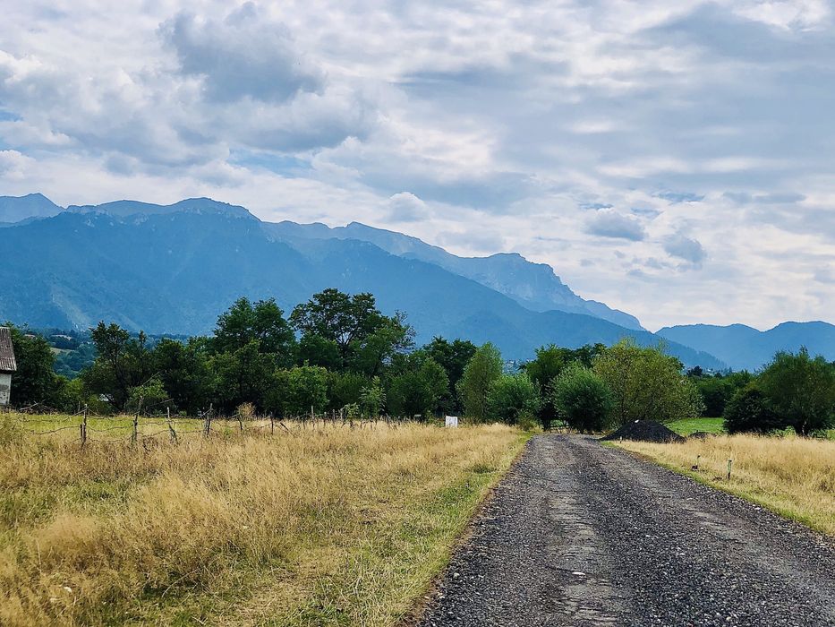Teren intravilan 1000 m Tohanu Nou - Bran