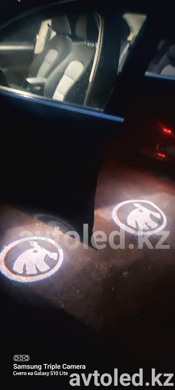 Фольксваген Туарег Тигуан подсветка двери лого авто LED подарок мужчин