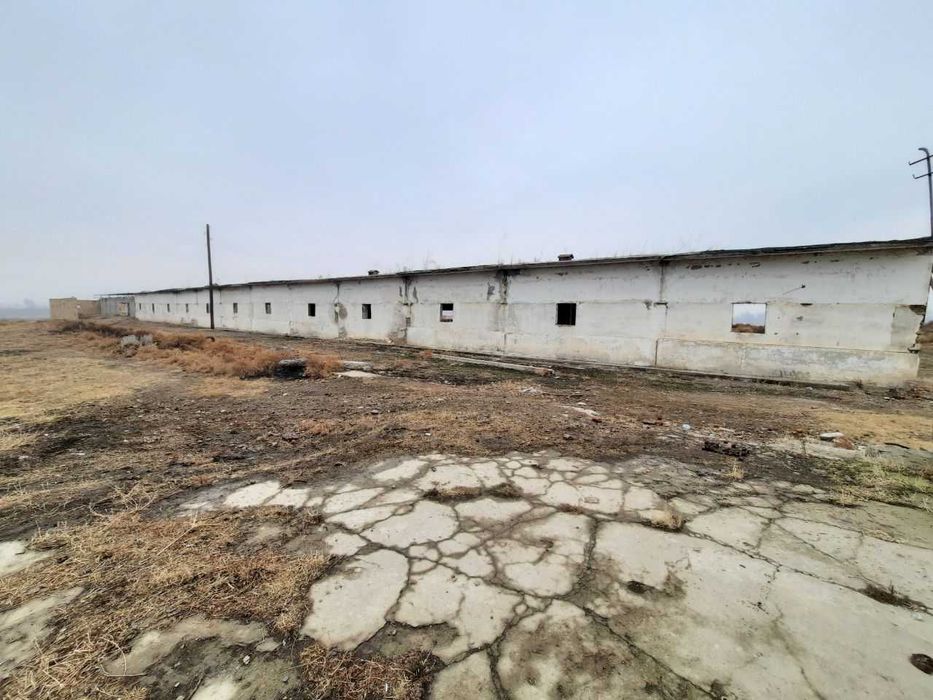 Продается 10 гект Кадастр.Янгийул.