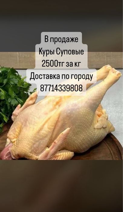 Куры Суповые Домашние