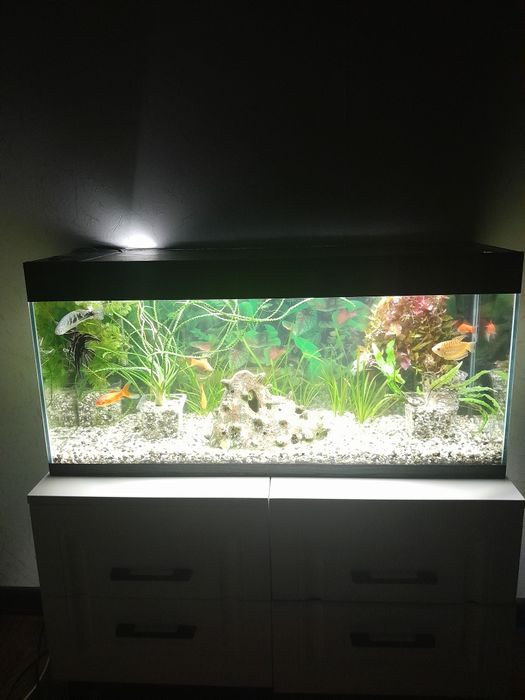 Продам новый аквариум