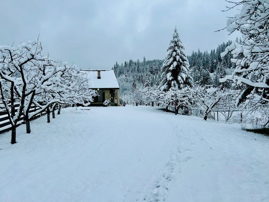 Cabana de inchiriat - Revelion-Forest Chalet Sucevita
