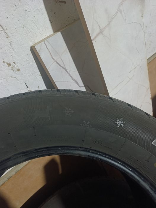 ECOPLUS balon 17 razmer