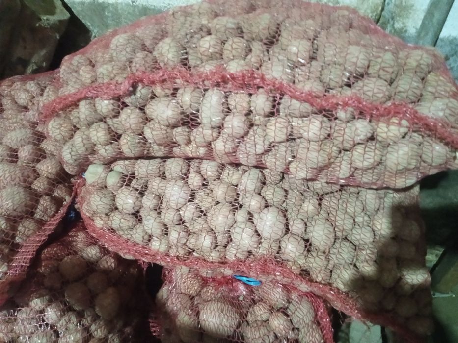 Cartofi pentru animale