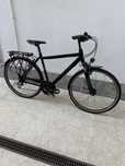 Bicicleta trekking Gudereit