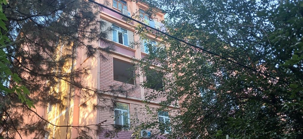 Балконга гишт терамиз