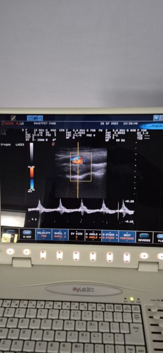 Ecograf Esaote My Lab 30CV