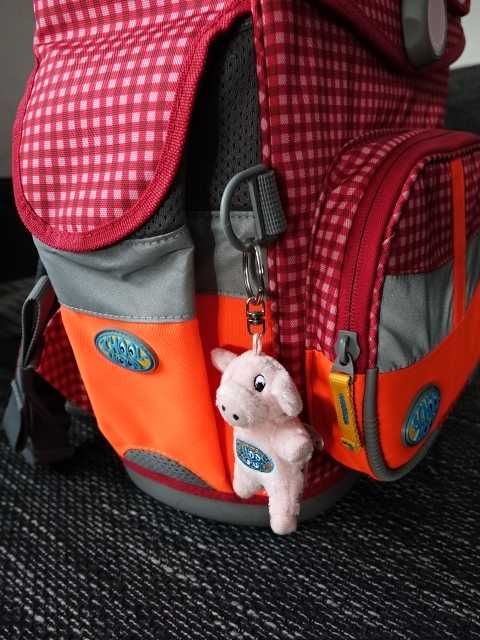 Ghiozdan, rucsac scoala, School Mood