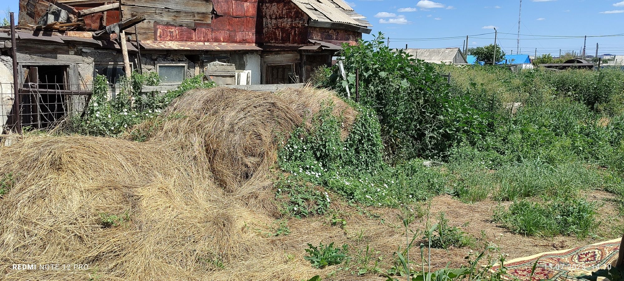 Продам Сено рулон