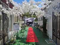 Decor evenimente