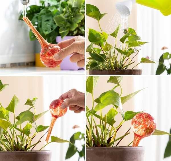 Set 4 Globuri de udare automata pentru plante de apartament