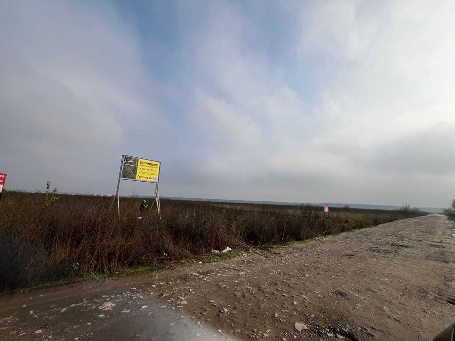 Inchiriere Teren(uri) Multiple, Autorizate -  in Baneasa, Sector 1