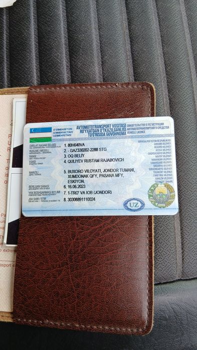 Gazel naxadu sotka mator