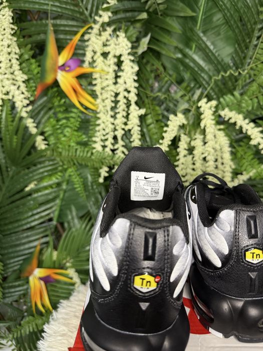 Nike Air Max Plus TN Black Silver