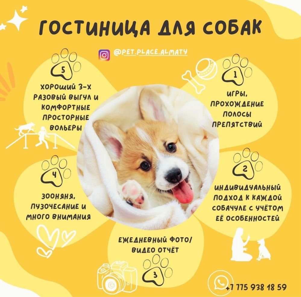 Зоогостиница Pet Place