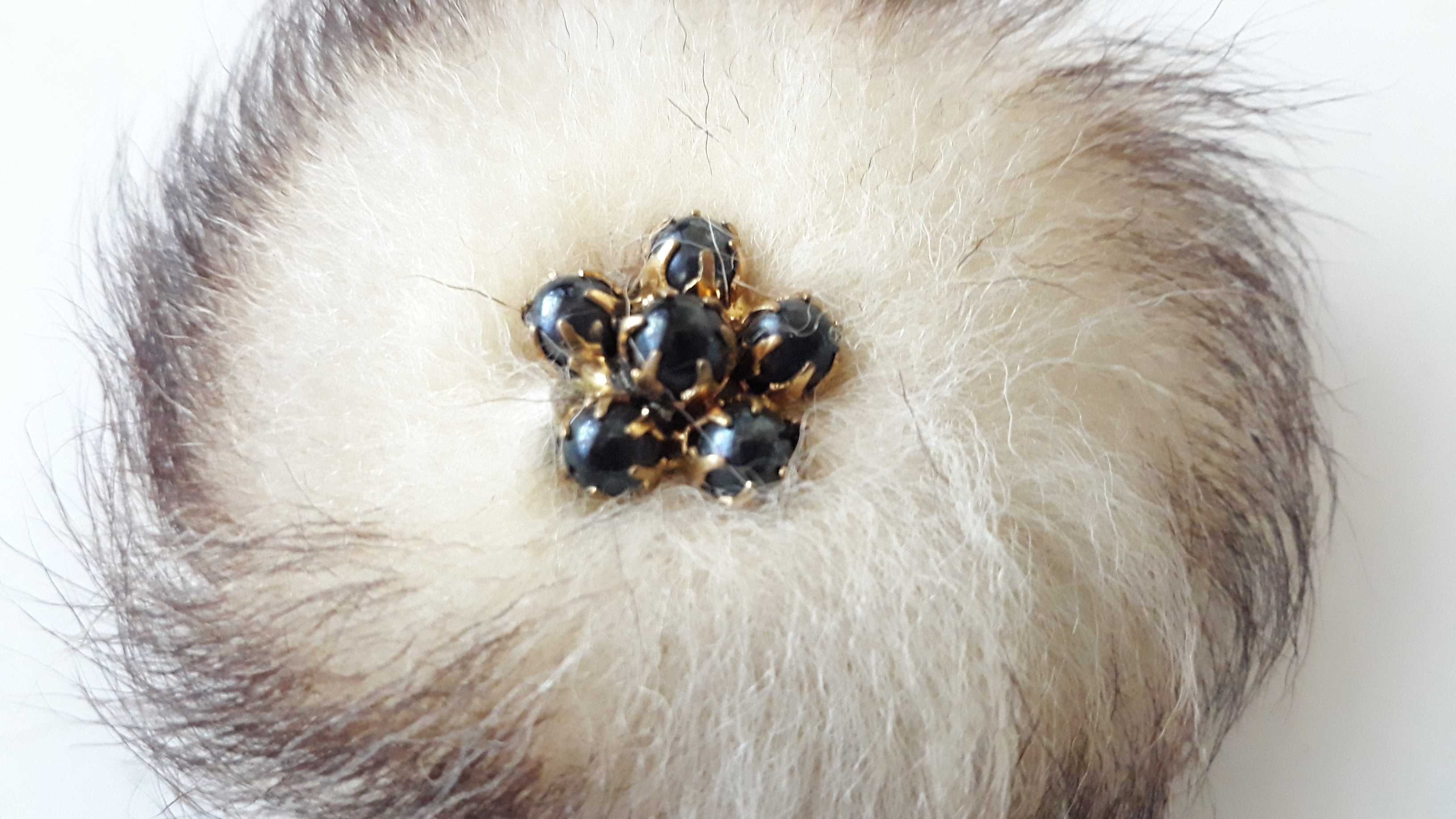 Insigna Accesoriu palarie Vanatoare
