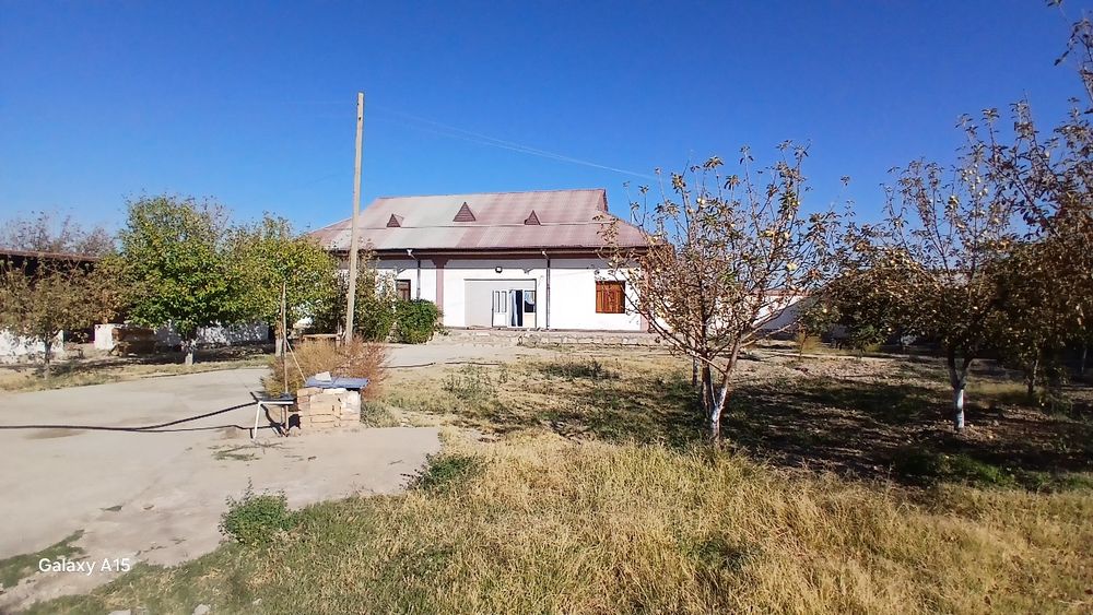 Uy, hovli-joy. Tinch osuda mahallada