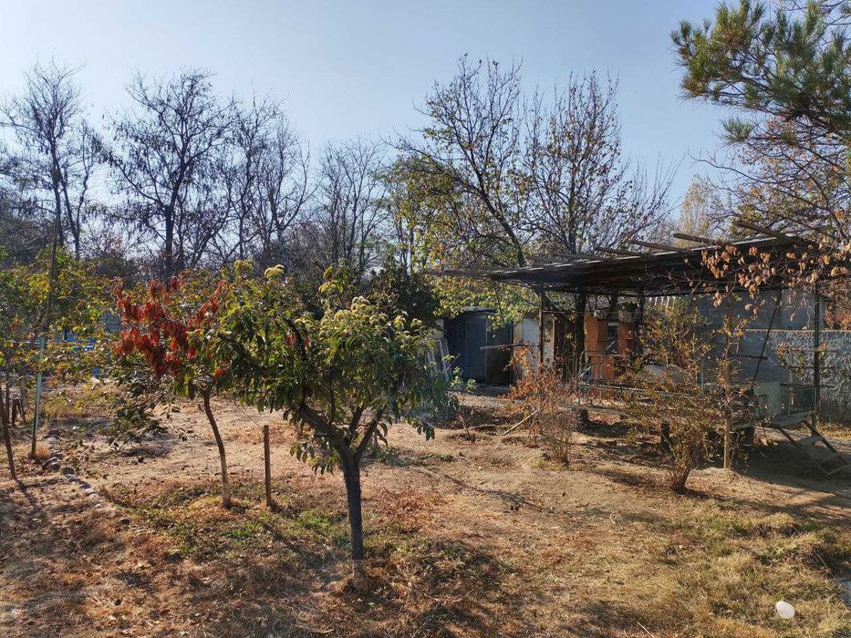 Срочно продается своя дача 9соток Ташморе Бургалик