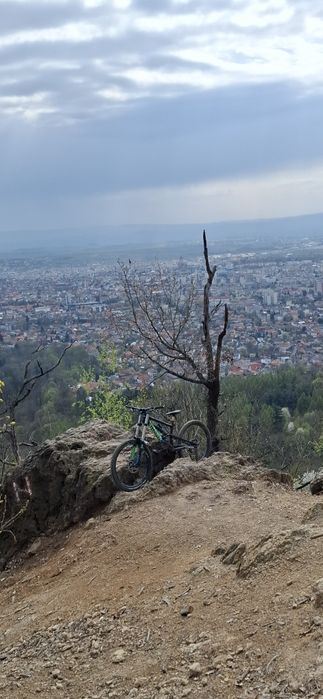 Vand urgent Canyon torque dhx