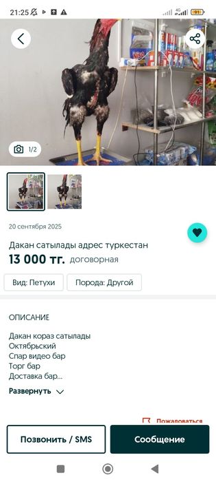 Дакан Нау алаяк сенбендер