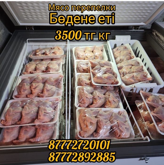 Мясо перепелки перепелиные яйц бодене еті яйцо жұмыртқа Техас Феникс