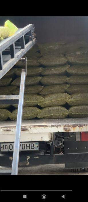 Silos vakum qlingan umakafga zavod